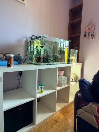 Acuario transparente y blanco