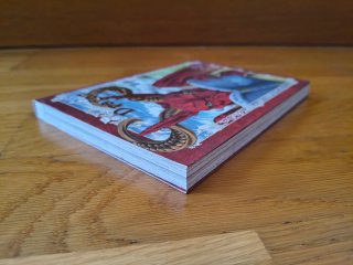 Manga Dragon Busca Casa 1