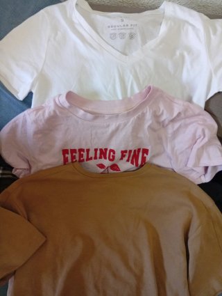 Lote 3. 2 Camisetas Manga Corta 1sudadera T.S.