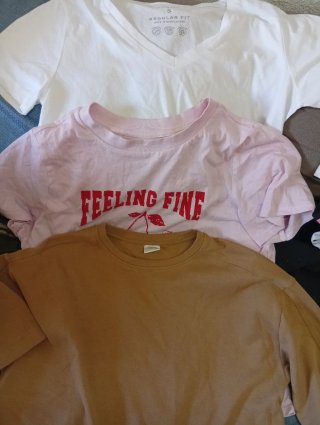Lote 3. 2 Camisetas Manga Corta 1sudadera T.S.