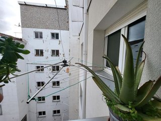 Piso en venta en El Llano en Gijón