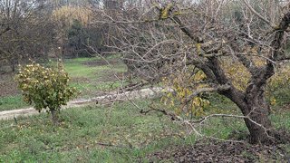 Terreno en venta en Alhaurín el Grande