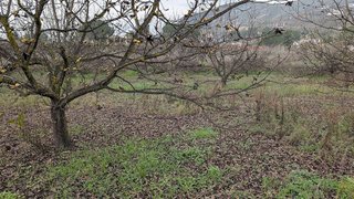 Terreno en venta en Alhaurín el Grande