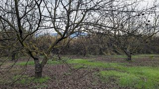 Terreno en venta en Alhaurín el Grande