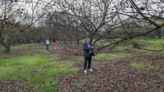 Terreno en venta en Alhaurín el Grande