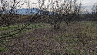 Terreno en venta en Alhaurín el Grande