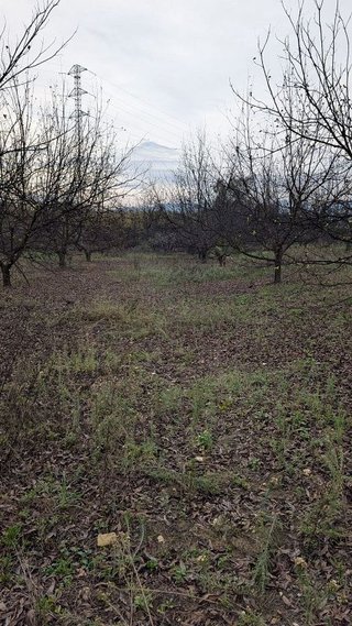 Terreno en venta en Alhaurín el Grande