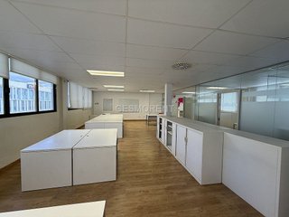 Oficina en alquiler en La Indioteria en Palma de Mallorca