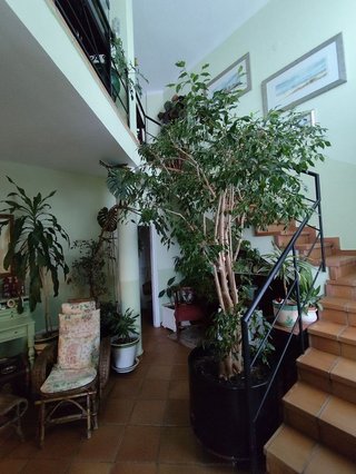 Chalet en venta en Las Vaguadas - Urb. del Sur en Badajoz