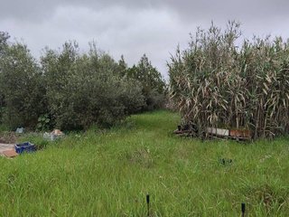 Casa en venta en Carmona