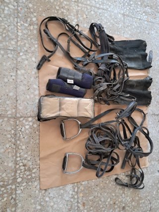 Accesorios para caballos: mantas y más