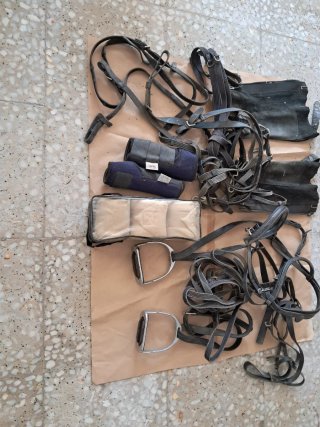 Accesorios para caballos: mantas y más
