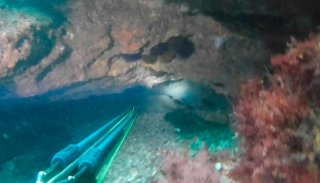 Linterna led pesca submarina