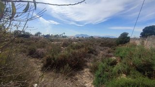 Terreno en venta en Crevillent
