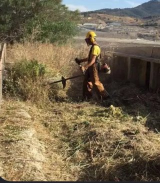 Desbrozador profesional