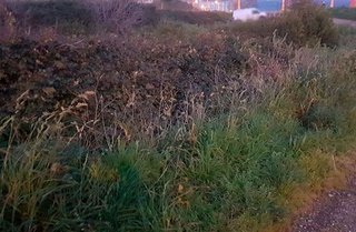 Solar en venta en Monte Alto - Zalaeta - Atocha en Coruña (A)