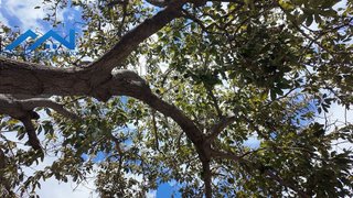 Terreno en venta en Güímar