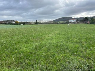 Terreno en venta en Castropol