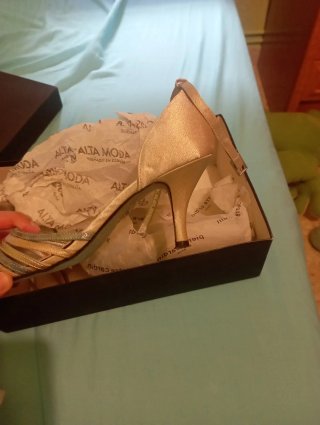 Zapatos y bolso Pierre Cardin beige/plata