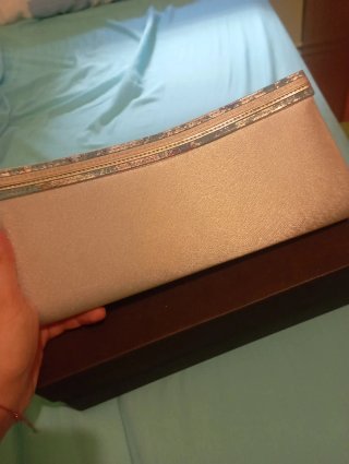 Zapatos y bolso Pierre Cardin beige/plata