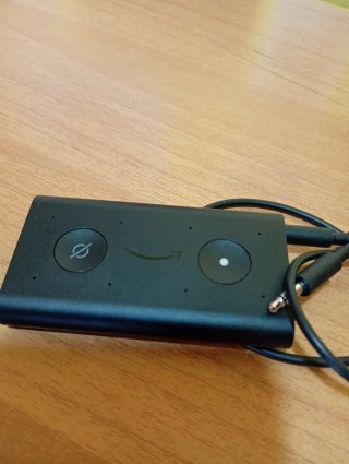 Cavo Aux Echo Alexa BP39CN originale Nuovo