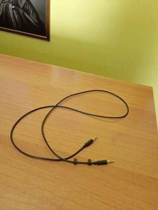 Cavo Aux Echo Alexa BP39CN originale Nuovo