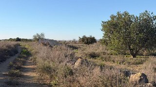 Terreno en venta en La Marina en Elche