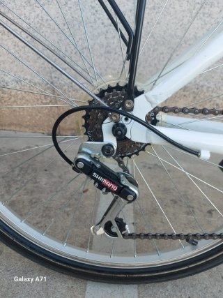 Bicicleta