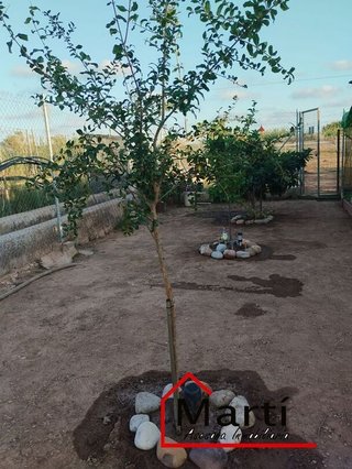 Terreno en venta en Camino de Onda - Salesianos - Centro en Burriana