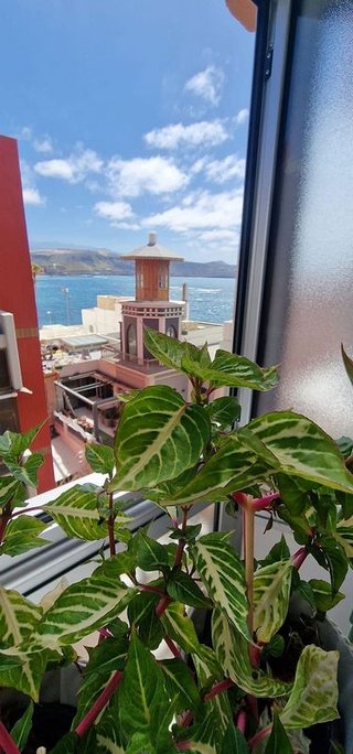 Piso en alquiler en Santa Catalina - Canteras en Palmas de Gran Canaria(Las)