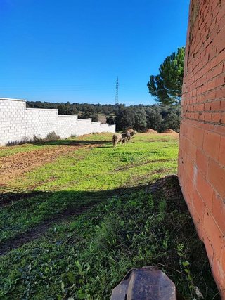 Chalet en venta en Las Vaguadas - Urb. del Sur en Badajoz