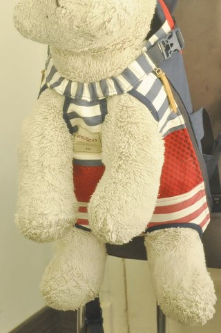 Mochila  para pasear mascotas