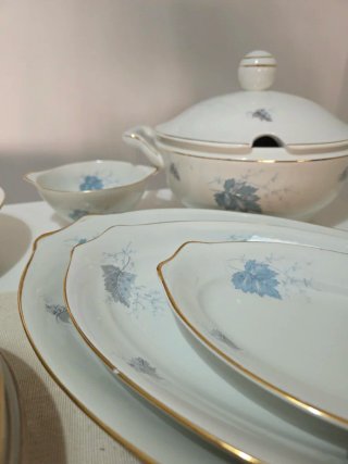Vajilla Porcelana Vintage Royal China Vigo