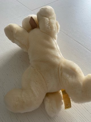 Peluche cane PLUSH&COMPANY