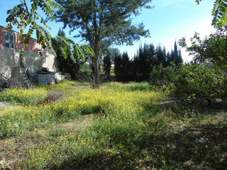 Casa rural en venta en El Romeral en Molina de Segura