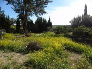 Casa rural en venta en El Romeral en Molina de Segura