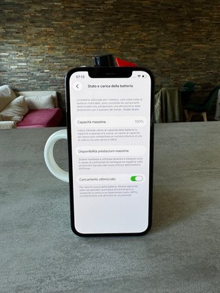 iPhone 12 Pro batteria 100%