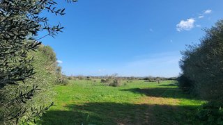Solar en venta en Campos