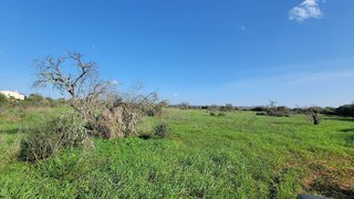 Solar en venta en Campos