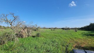 Solar en venta en Campos