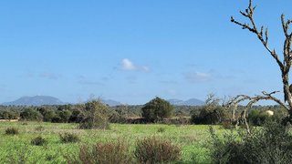 Solar en venta en Campos