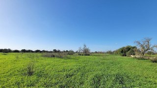 Solar en venta en Campos