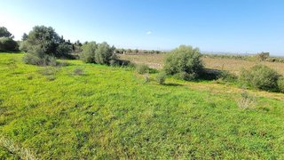Solar en venta en Campos