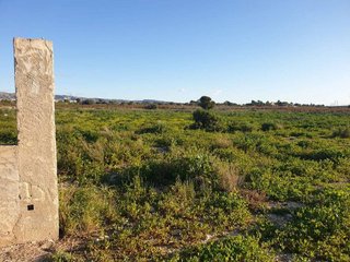 Terreno en venta en Crevillent