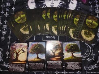Tarot Cartas Lectura Voluntad