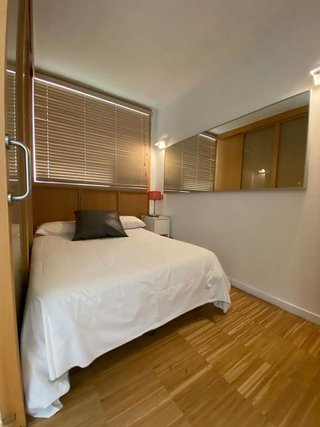 Piso en alquiler en Embajadores - Lavapiés en Madrid