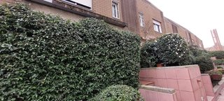 Casa adosada en venta en Zona Norte en Pozuelo de Alarcón