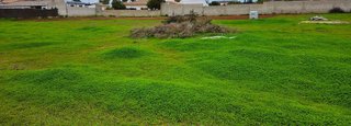 Terreno en venta en Las Lagunas - Campano en Chiclana de la Frontera