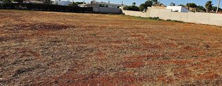 Terreno en venta en Las Lagunas - Campano en Chiclana de la Frontera