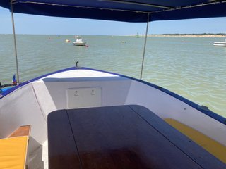 Barco a motor de recreo